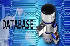 base de datos base de datos